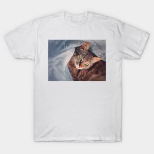 Pregnant cat hiding T-Shirt